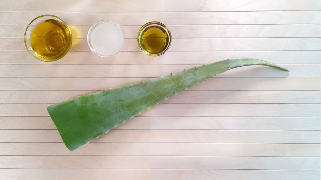 Aloe Vera-kräm med oliv-, druv- och kokosolja, foto 2