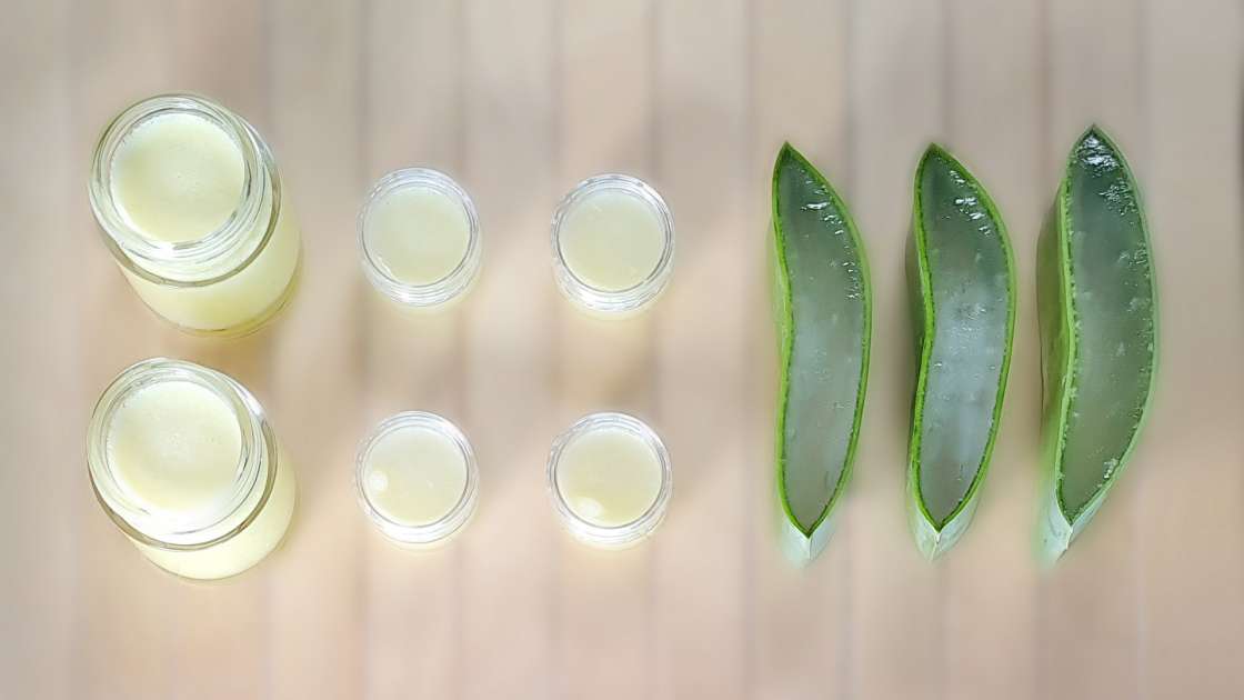 Aloe Vera-kräm med oliv-, druv- och kokosolja, foto 7