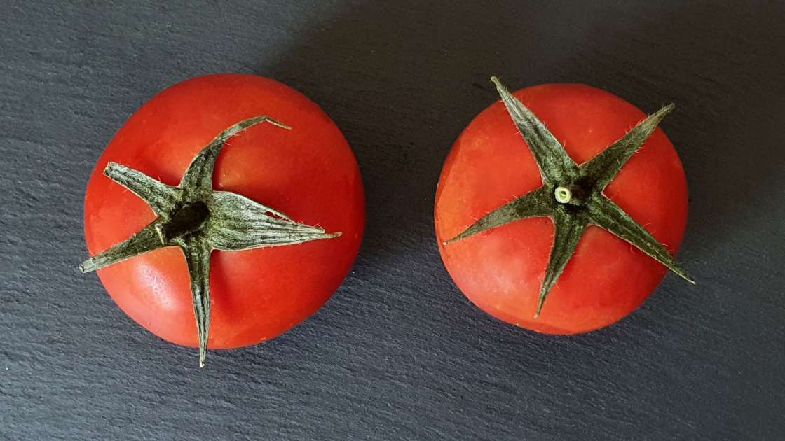 Färsk tomatjuice med honung för att stärka skelett och leder, foto 1