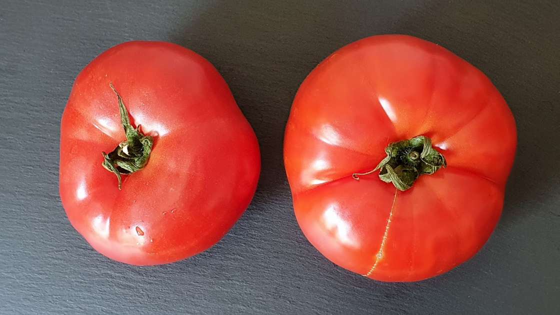 Färsk tomatjuice med honung för att stärka skelett och leder, foto 3