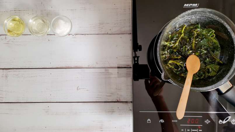 Olja av nässlor erhållen genom överföring och användning av bain-marie, foto 4