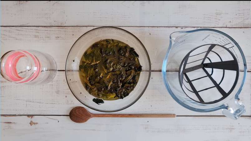 Olja av nässlor erhållen genom överföring och användning av bain-marie, foto 11