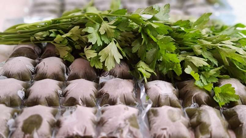 Persiljejuice med lime i isförpackningar, foto 6