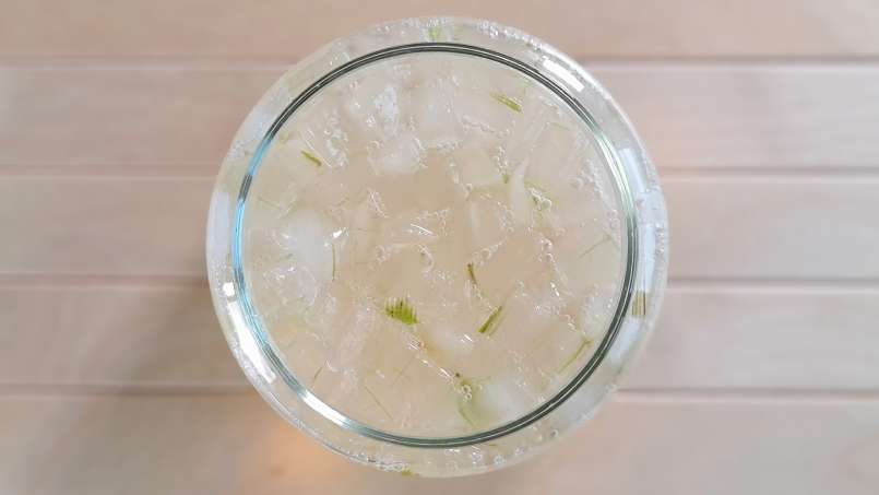 Aloe Vera macerat med honung, foto 4