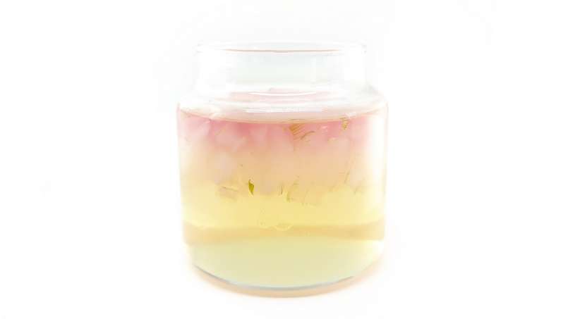Aloe Vera macerat med honung, foto 14