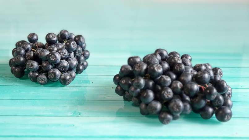 Aronia sirap med honung, foto 9