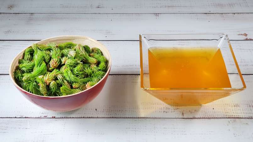 Macererade tallknoppar med honung, foto 8