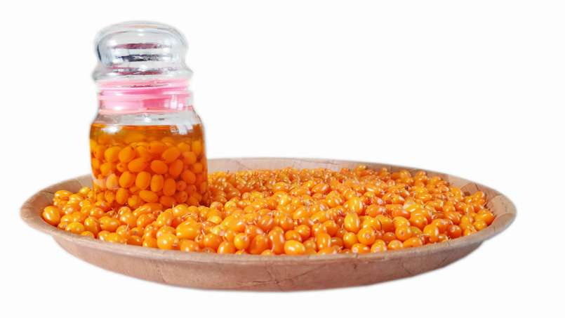 Transfer-transfer russinolja, foto 6