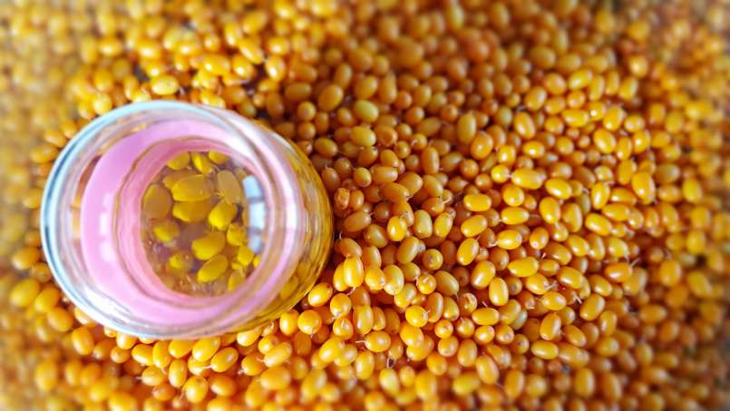 Transfer-transfer russinolja, foto 7