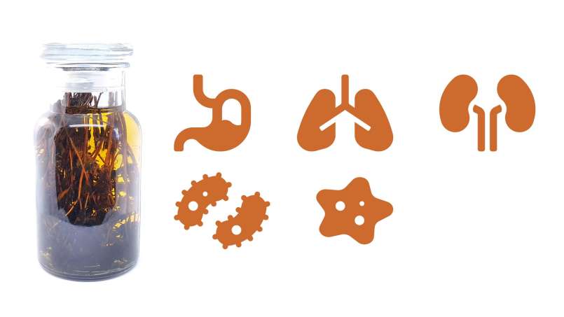 Tinktur av timjan, foto 1