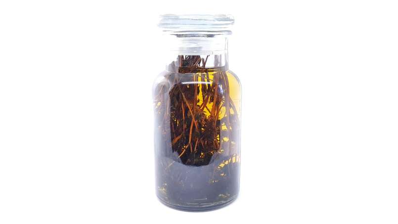 Tinktur av timjan, foto 2