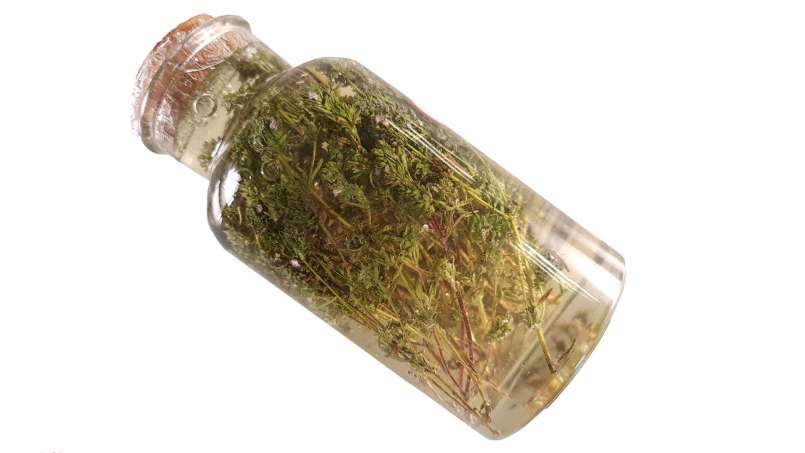 Timjan macererar med honung, foto 4