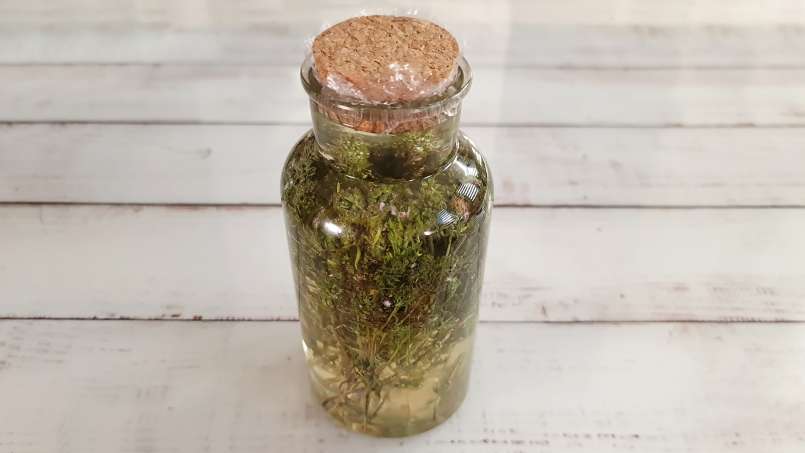 Timjan macererar med honung, foto 6