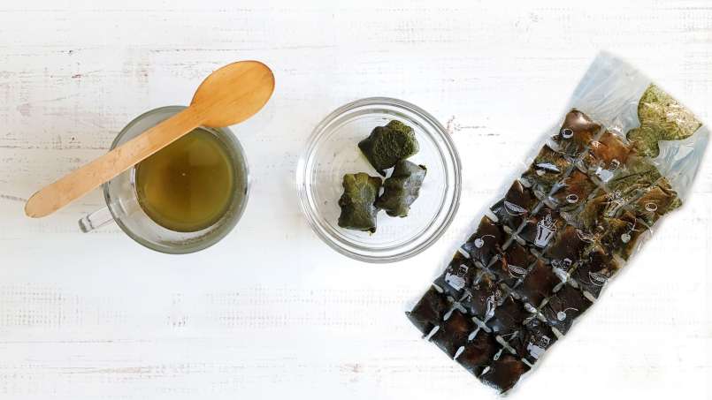 Frysta isbitar av nässlejuice