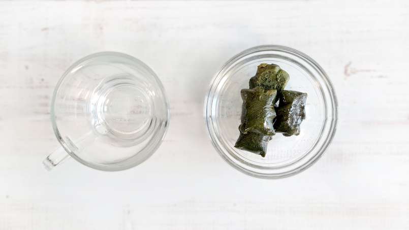 Frysta isbitar av nässlejuice, foto 5