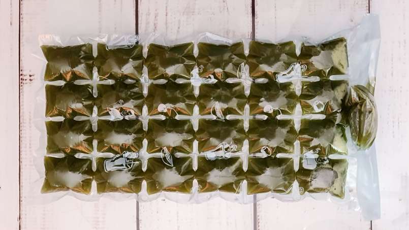 Frysta isbitar av nässlejuice, foto 7