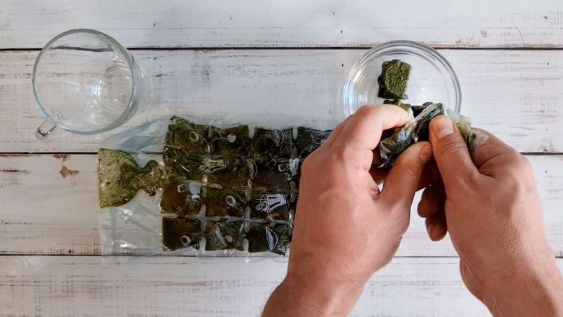 Frysta isbitar av nässlejuice, foto 10