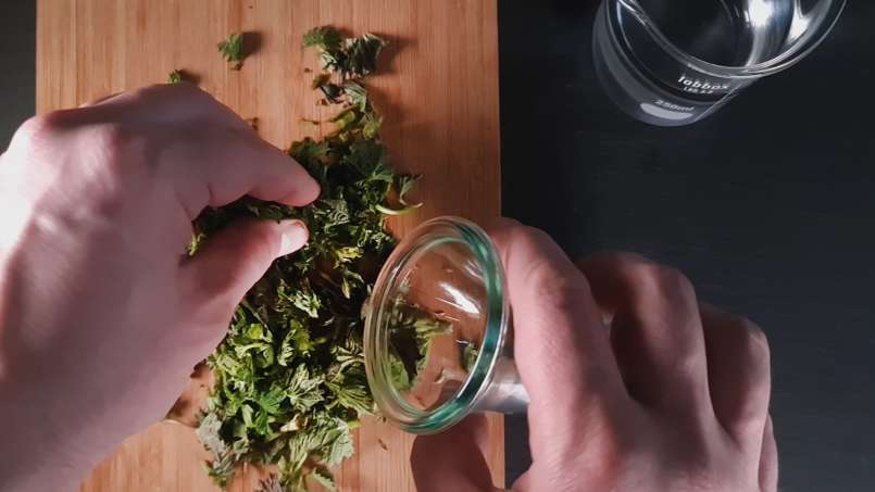 Tinktur av nässlor, foto 2