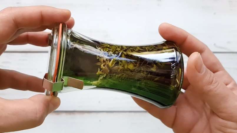 Tinktur av nässlor, foto 3