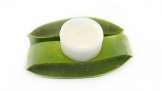 Aloe Vera-kräm med kokossmör